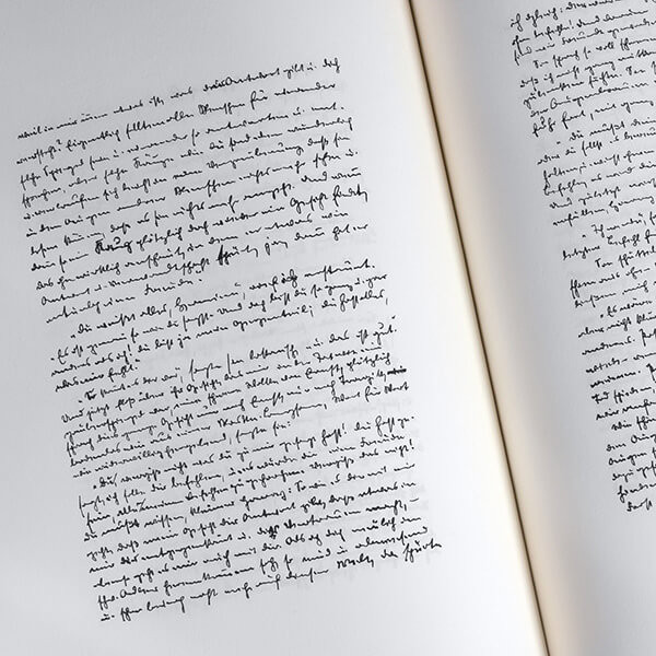 Der Steppenwolf Der Steppenwolf