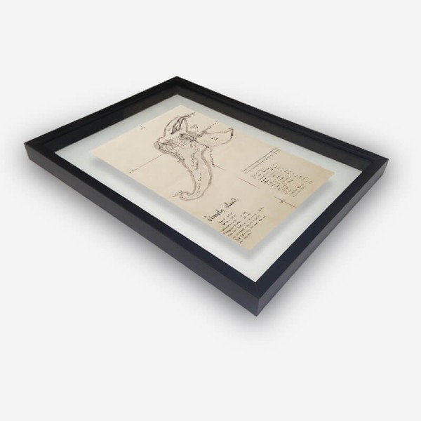 Lincoln Island Frame - Jules Verne