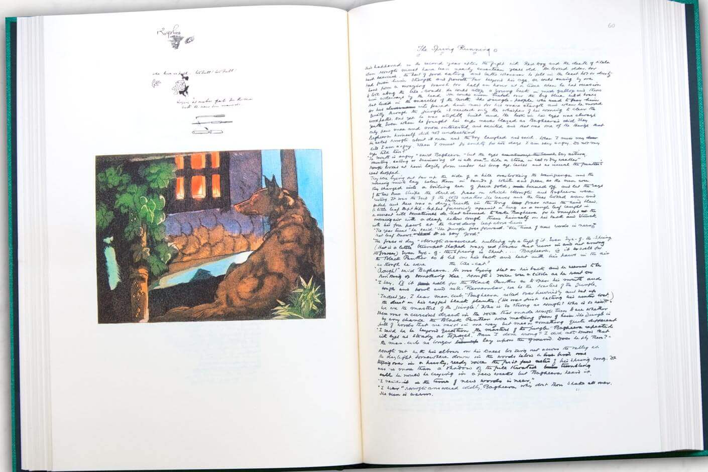 Jungle book written deals